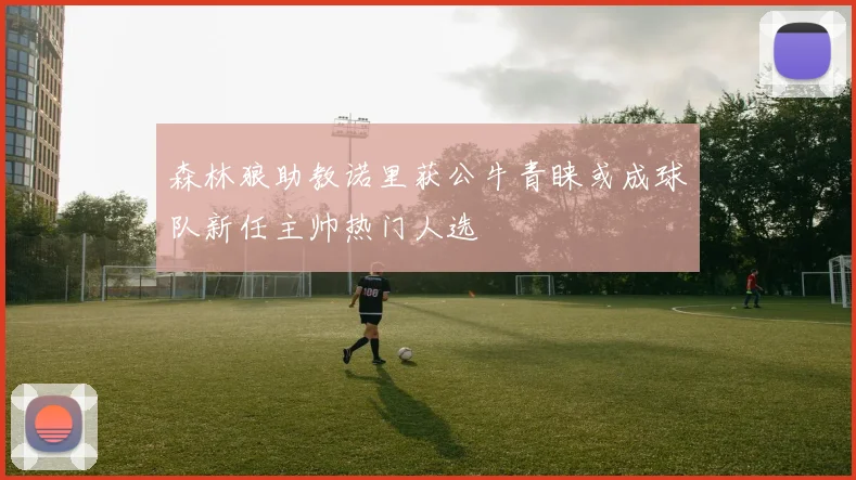 森林狼助教诺里获公牛青睐或成球队新任主帅热门人选
