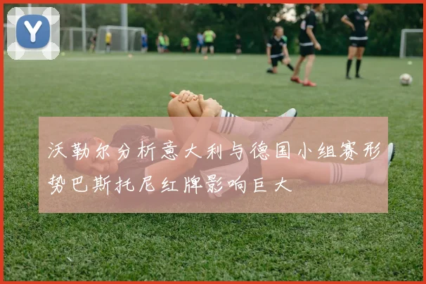 沃勒尔分析意大利与德国小组赛形势巴斯托尼红牌影响巨大
